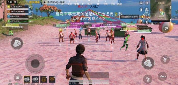 和平精英助手辅助怎么开（和平精英助手辅助器怎么用）